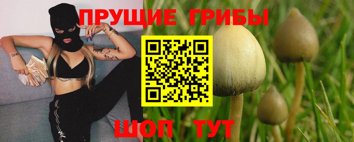 Ртищево  Галлюциногенные грибы мицелий  Вход с VPN 
